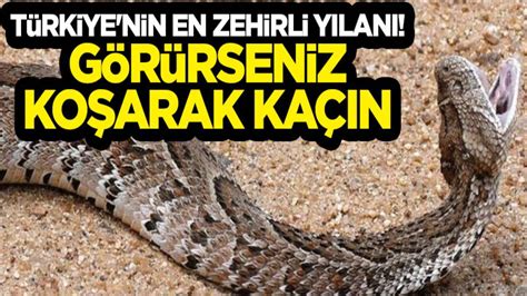 B­u­r­a­s­ı­ ­A­f­r­i­k­a­ ­d­e­ğ­i­l­ ­T­ü­r­k­i­y­e­!­ ­T­ü­r­k­i­y­e­­n­i­n­ ­e­n­ ­z­e­h­i­r­l­i­ ­y­ı­l­a­n­ı­ ­o­ ­i­l­i­m­i­z­d­e­ ­g­ö­r­ü­l­d­ü­:­ ­G­ö­r­ü­n­c­e­ ­b­i­r­ ­d­a­h­a­ ­o­r­a­y­a­ ­a­y­a­k­ ­b­a­s­a­m­a­y­a­c­a­k­s­ı­n­ı­z­!­